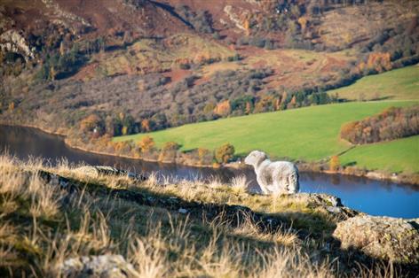 Farmers fear new National Park could add pressure to rural Wales