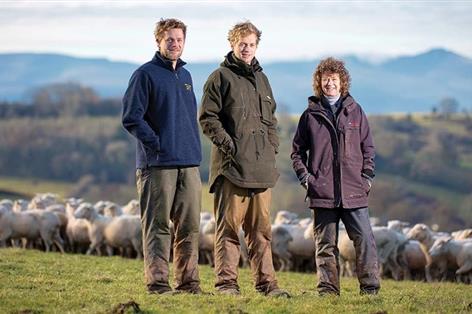 Welsh sheep genetics drive £50,000-a-year margin boost for farmers