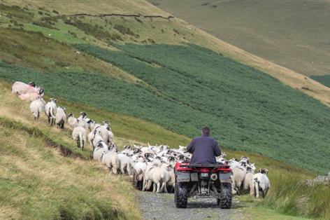 Quad bike thefts in Northumbria soar 276% amid farm security warning