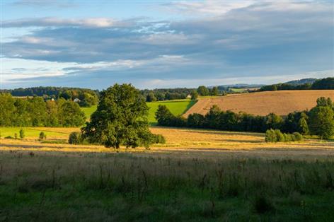 Farmland market set for realism in 2026 after values adjust, analysts say