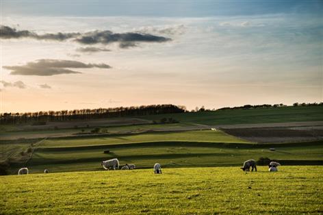 Inheritance tax shift eases fears of family farms being sold off