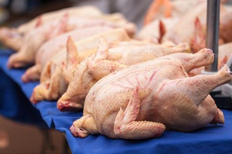 Chlorinated chicken row as US seeks leverage over stalled UK tech pact