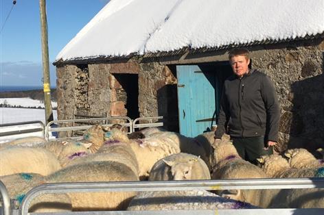 MSP calls for underspent farm funds to reward snow-hit recovery work