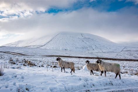 RABI opens 2026 Winter Grant to help farming families with rising costs