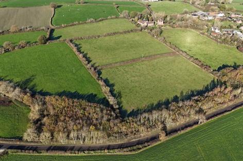10-year tenancy on small Shropshire farm creates rare entry route