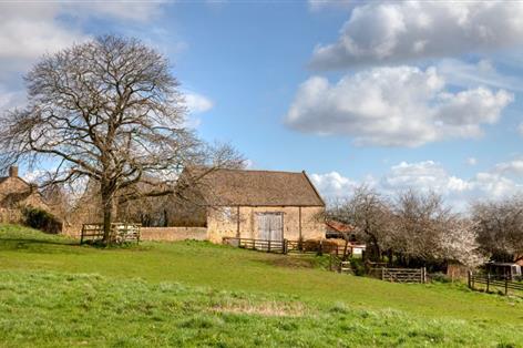 Sporting rates shake-up could hit Scottish family farms, warns body