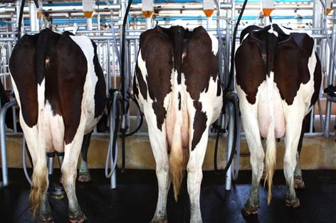 Milk prices set to stay under pressure into mid-2026, says AHDB