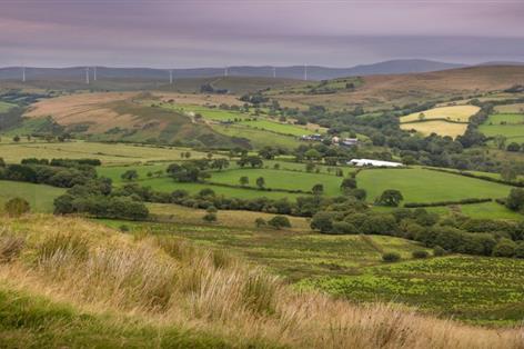 Farm letting market stuck in holding pattern as tenanted land shrinks