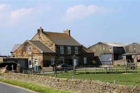 Mayor overhauls Grow Yorkshire after report finds half of farms unprofitable