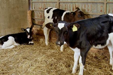 Farmers warned over pneumonia risk as volatile weather hits housed stock