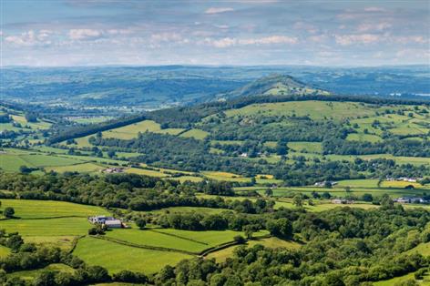 Welsh land use under spotlight as report warns nature at tipping point