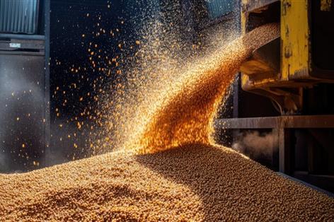 UK cereal demand from processors drops to 20-year low in 2025/26