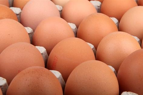 Public warned off eating home-produced eggs near industrial site