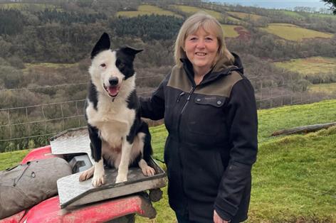 Working sheep farmer shares cancer story to encourage early diagnosis