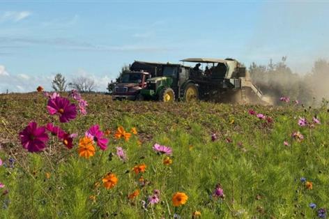 McCain to launch UK 'Farm of the Future' to trial regenerative practices