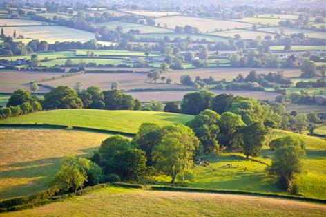 Farmers still lead buyers as UK farmland market steadies