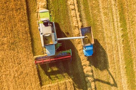 Arable farmers 'shock absorber' in supply chain, says NFU response to Defra