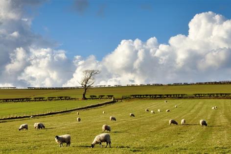 New Defra-backed survey aims to improve tenant farming relations