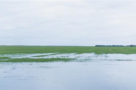 28 days of rain leave NI farmers facing slurry storage pressure