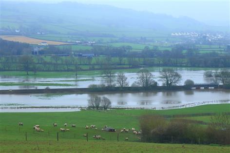 Farmers brace for further flooding as heavy rain prolongs disruption