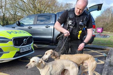 Nine detained and ten dogs seized after hare coursing pursuits