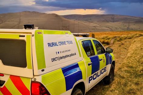Six sheep dead and 20 injured in 'reckless' Derbyshire dog attack