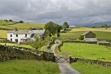 Farm rents diverge as informal agreements hit decade high