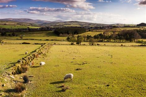 NI farmers 'left in limbo' as union demands overhaul of vesting system