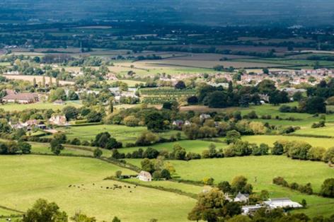 Government slashes SFI options and caps payments at £100,000 in reset