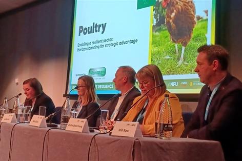 Poultry leaders warn sector stuck in 'firefighting' mode