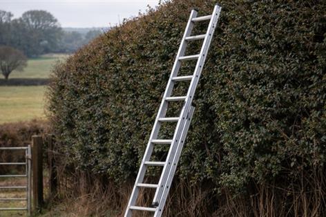 Devon farmer killed in ladder fall during hedge cutting
