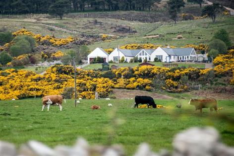 Soil Association Scotland calls for 10% of farmland to go organic