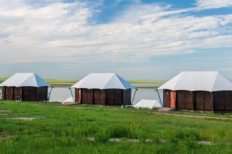 Diversification now 'essential' for farm incomes after BPS loss