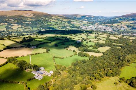 Welsh farmers call for stable funding and TB action before next Senedd term