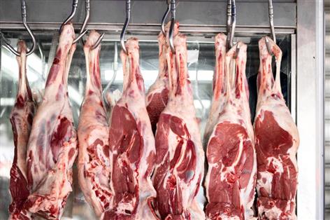 MP pushes for labels on meat from non-stun slaughter