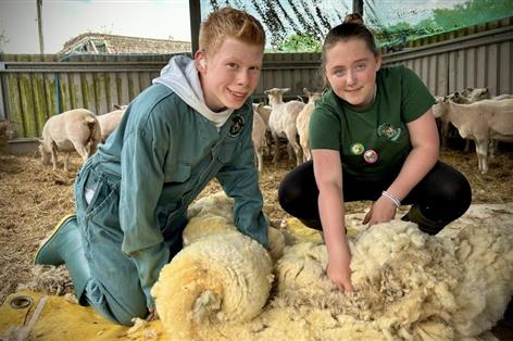 Open Farm Sunday turns 20 with national sticker competition for young creatives