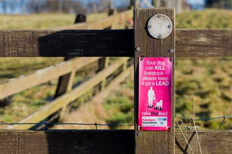 Unlimited fines introduced as tougher dog attack laws come into force