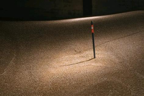 Half a million tonnes of grain to be tracked in Frontier's digital upgrade