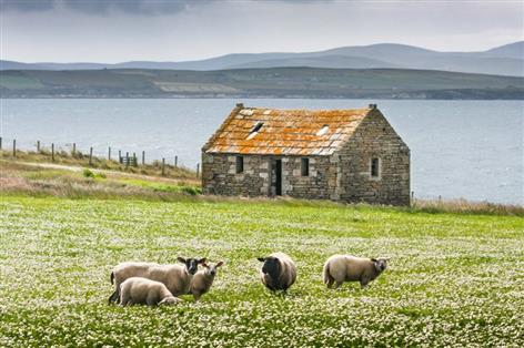 Crofting reforms hailed as 'way forward' for landowners and crofters