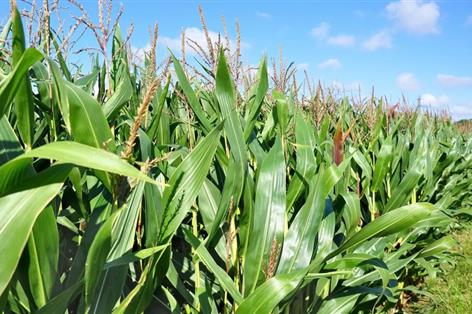 Farmers to benefit as £100m move restarts key CO2 and bioethanol plant