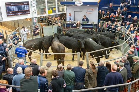 Livestock market turnover smashes £3bn as demand drives record prices