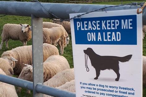 Livestock worrying costs hit £2m as Easter warning issued