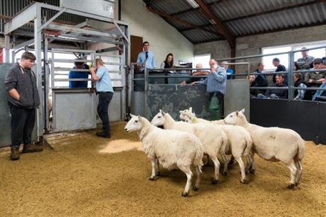 Green light given to relocate key south east livestock market