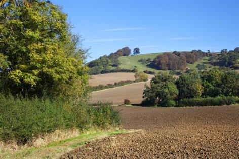 Low supply keeps farmland prices stable despite market uncertainty