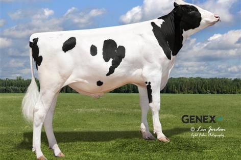 Peak Powerhouse leads rankings as dairy farmers chase milk solids gains