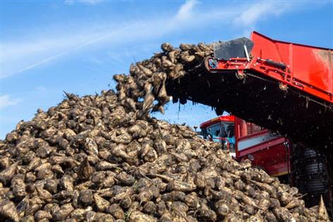 British Sugar launches scheme with upfront cash for greener farming