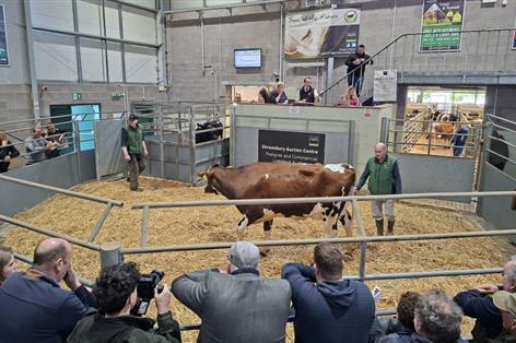 Farmers rally for cancer cause in powerful Shrewsbury fundraiser
