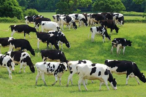 Falling prices and palm oil trend raise concerns for UK dairy sector