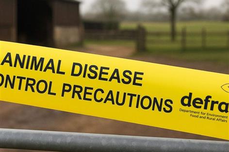 Bird flu returns days after housing rules lifted, raising fresh concerns