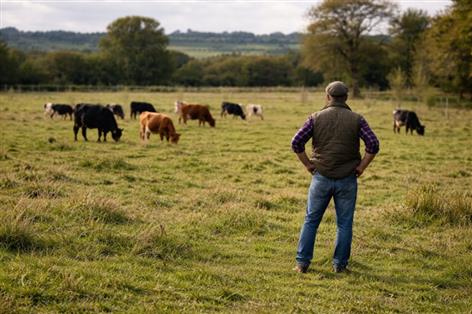 Farmers call on councils to support UK agriculture before elections